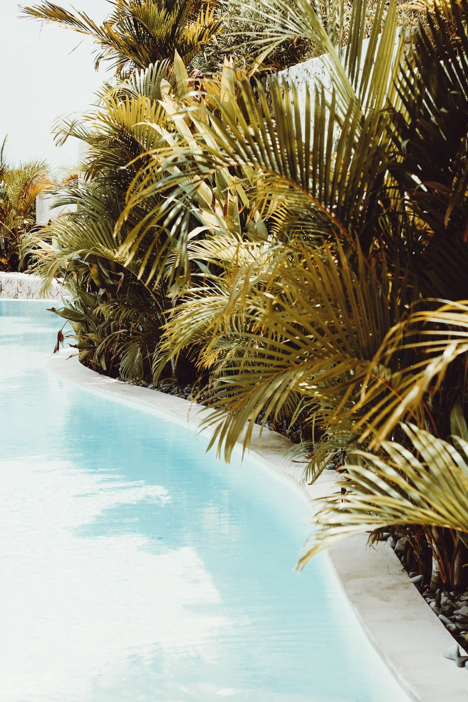 Derselbe tropische Pool, gerendert mit Aerocolor High