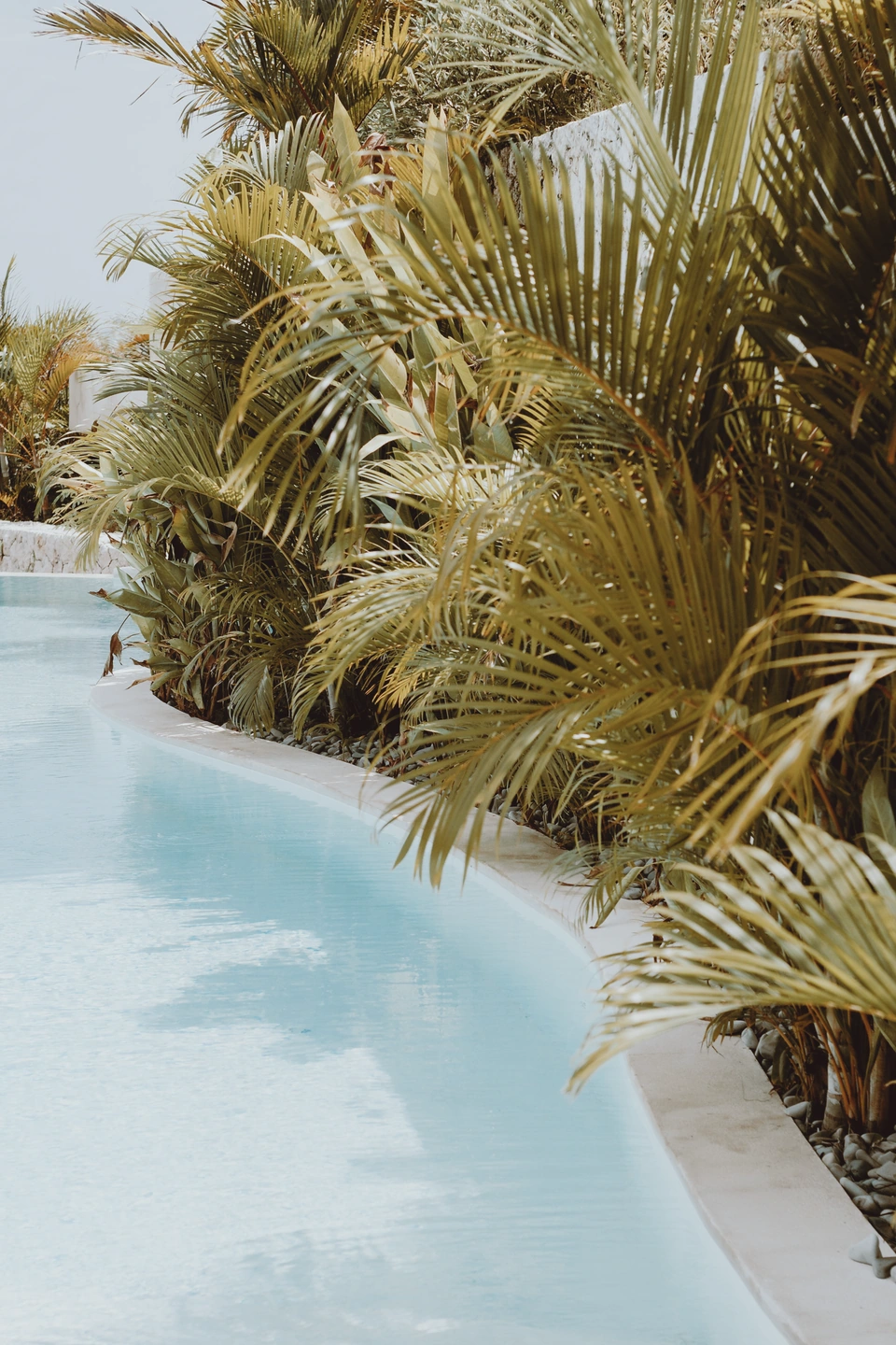 Palmblätter und türkisfarbener Pool, gerendert mit Aerocolor Low