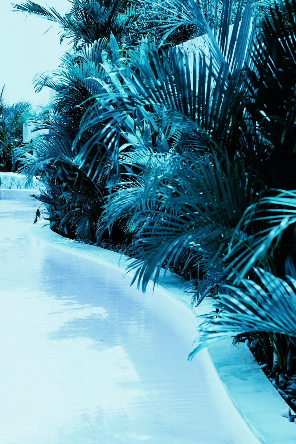 Derselbe tropische Pool mit der Aerochrome RGB-Farbinterpretation