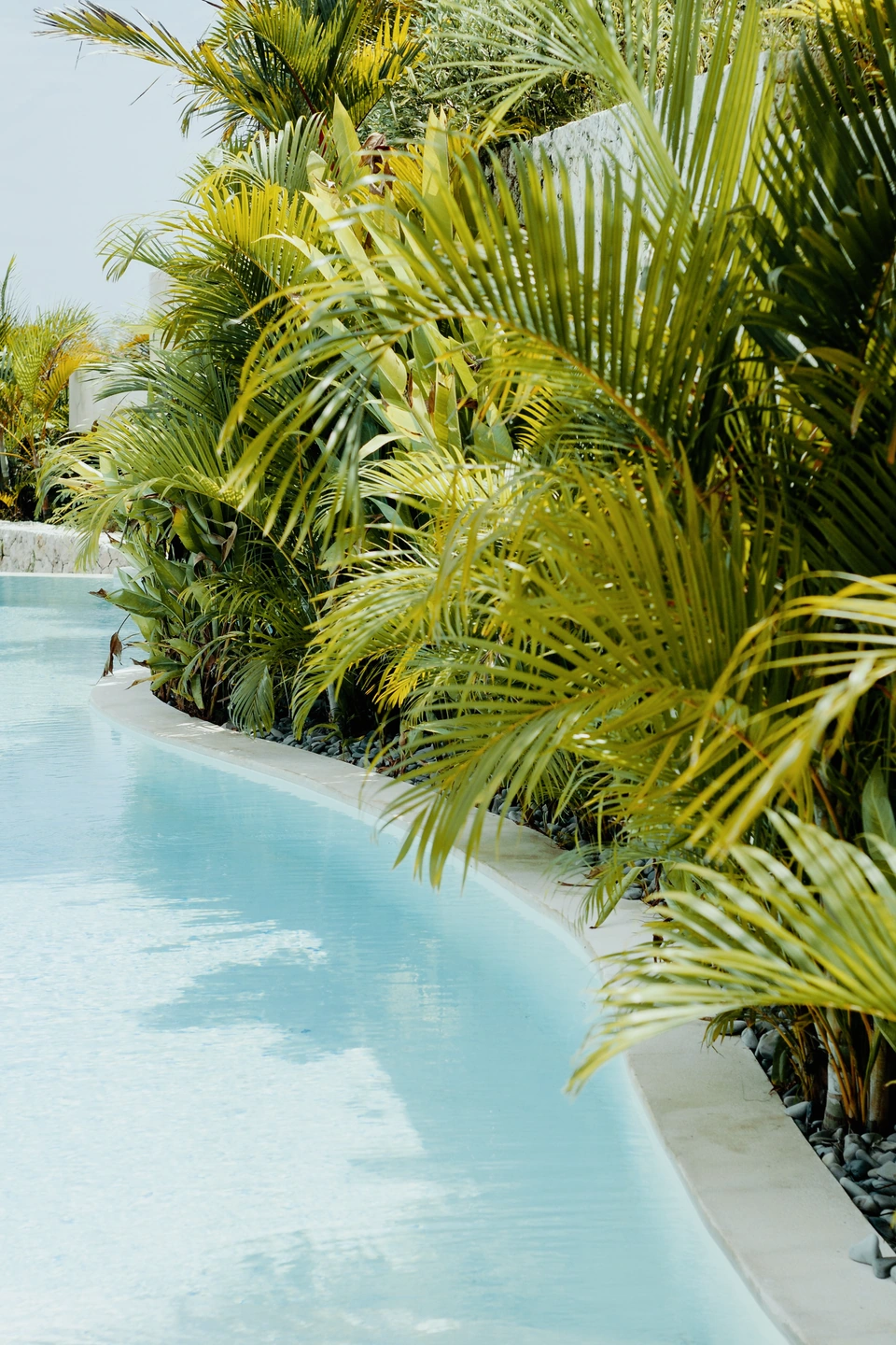 Tropische Palmen und ein Swimmingpool mit Ektachrome 100D-Farbe