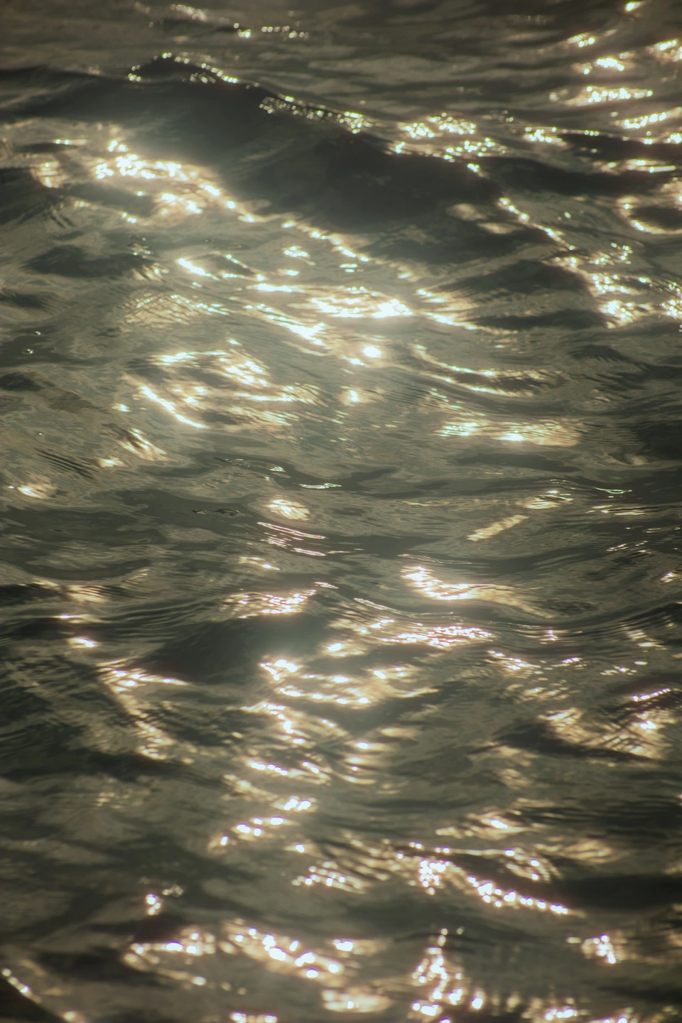 La luz del sol brillando sobre el agua con un cálido halo alrededor de los reflejos.