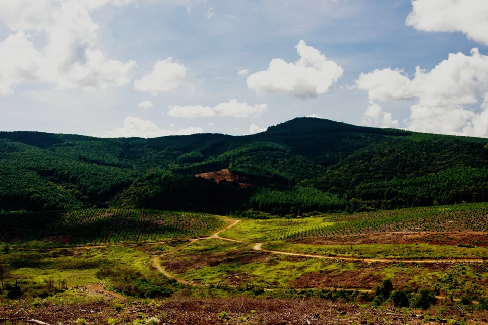 Green hills beneath a sky full of white clouds, with the Slide preset in Photonica
